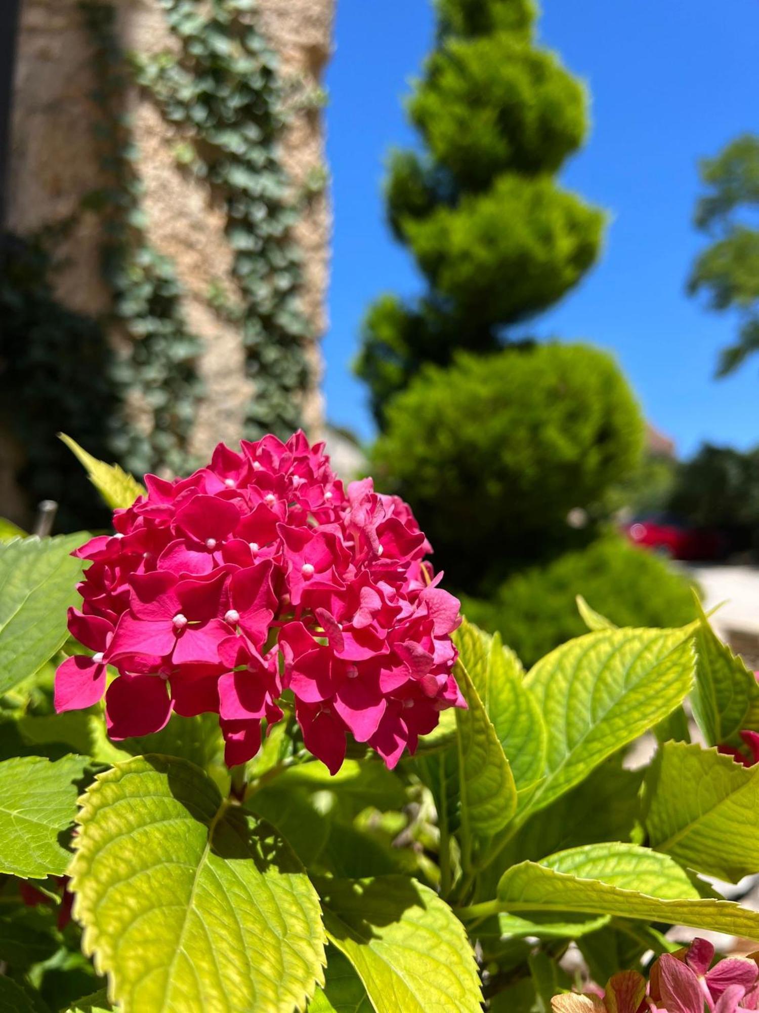 Hotel Les Vieilles Tours Rocamadour Exteriör bild